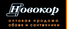 Логотип компании Новокор Плюс