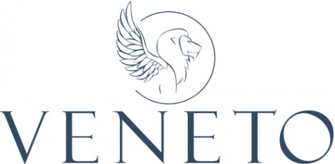 Логотип компании Группа компаний VENETO